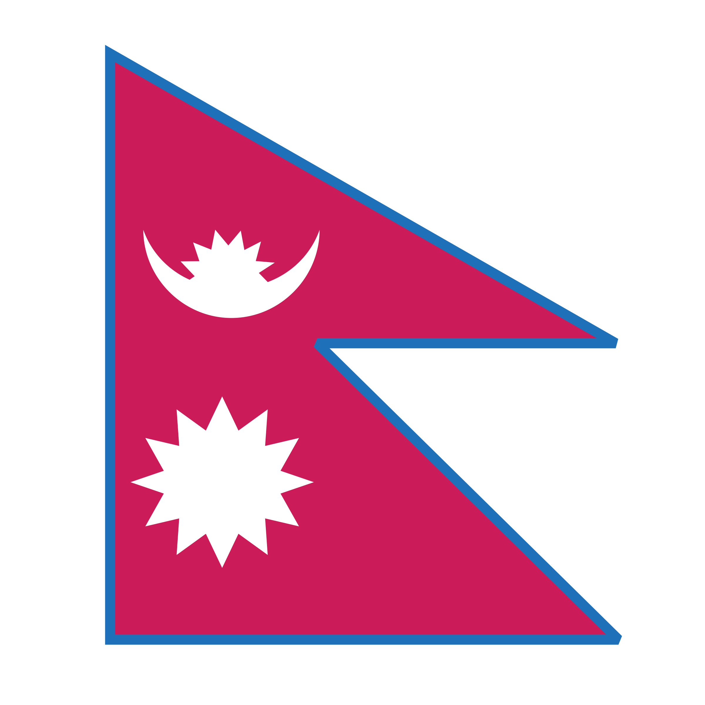 Local Government Logo